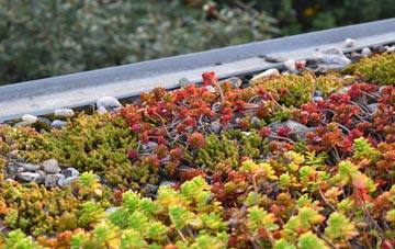 the cost of Bargeddie green roof installation