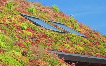 Bargeddie living roof systems