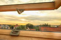rated Bargeddie roof window companies